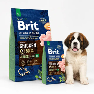 Brit-Premium-by-Nature-Junior-XL